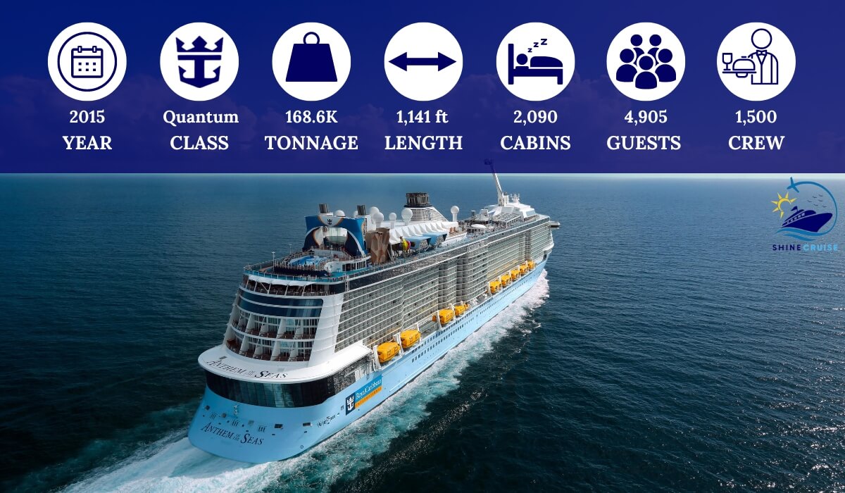 Royal Caribbean ship size chart 
Royal Caribbean ship chart 2025 
Royal Caribbean ship sizes 2025
Royal Caribbean cruise ships by size biggest to smallest 
Royal Caribbean ships by size biggest to smallest
Royal Caribbean largest cruise ship
biggest Royal Caribbean ships