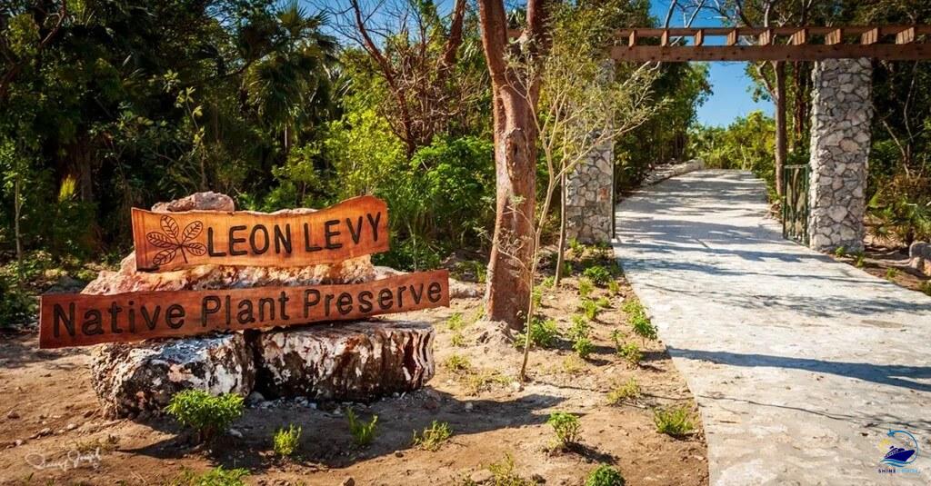 Leon Levy Native Plant Preserve — Eleuthera