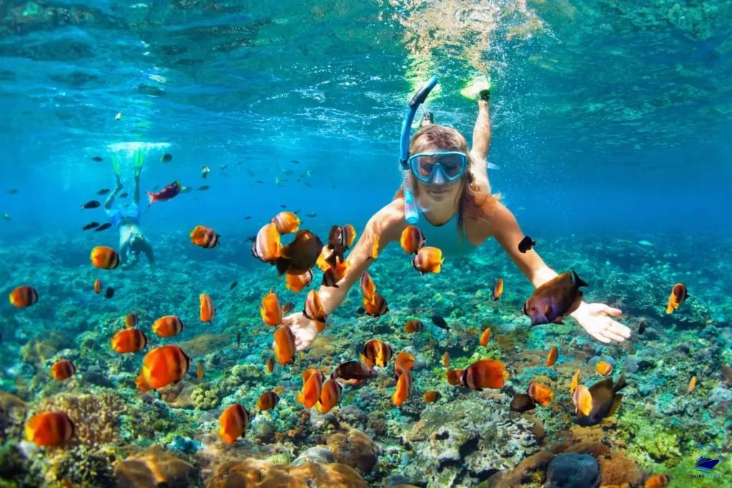 Snorkeling at Princess Cays Bahamas