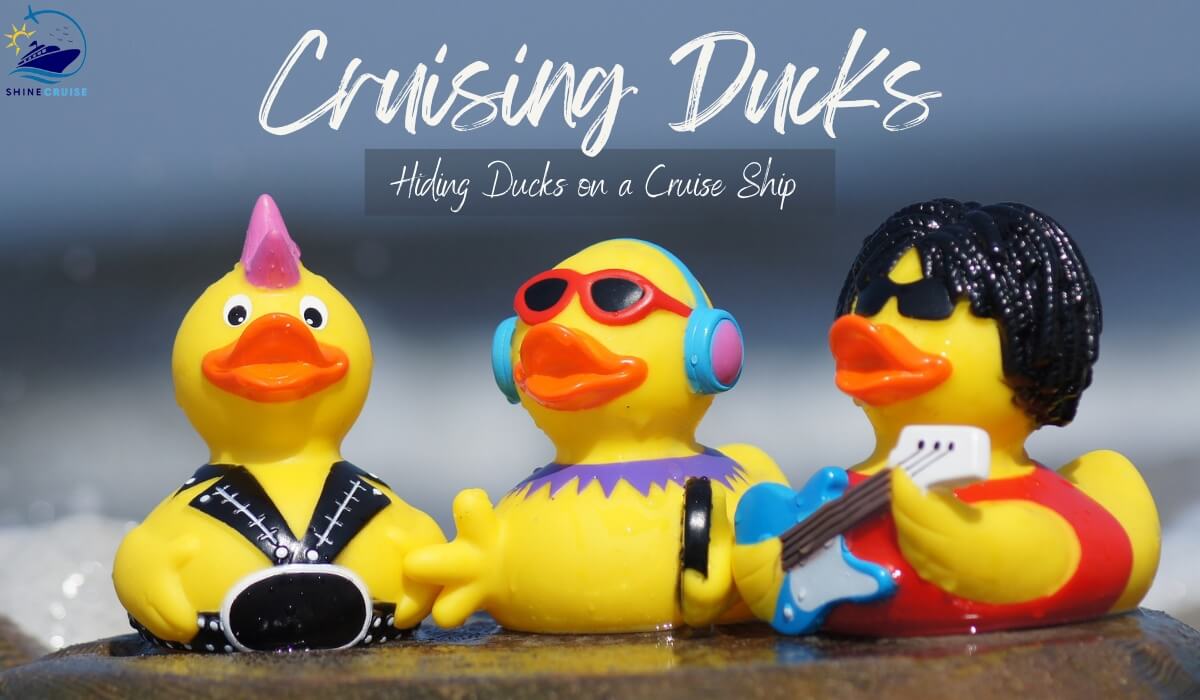 Cruise Ducks: Tips for Hiding Ducks on a Cruise Ship in 2025