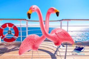 Pink Flamingo Meaning on a Cruise Ship | Secret to know 2025