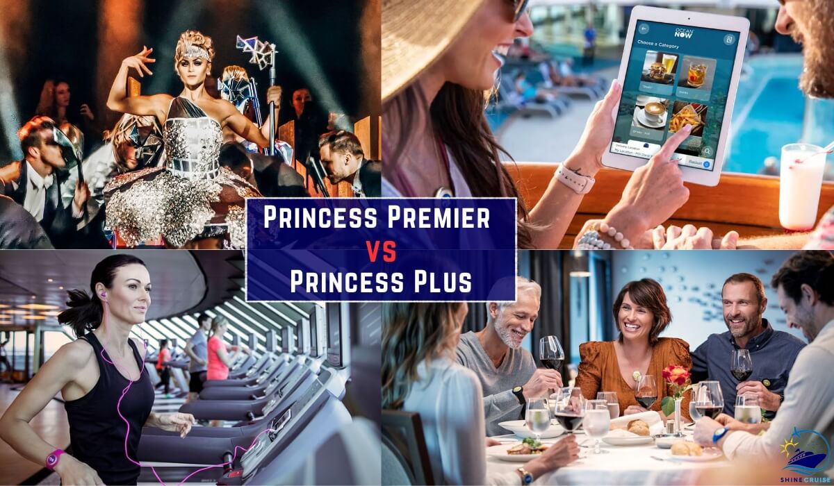 princess plus and premier packages princess plus and princess premier packages princess premier vs princess plus packages princess premier vs plus packages