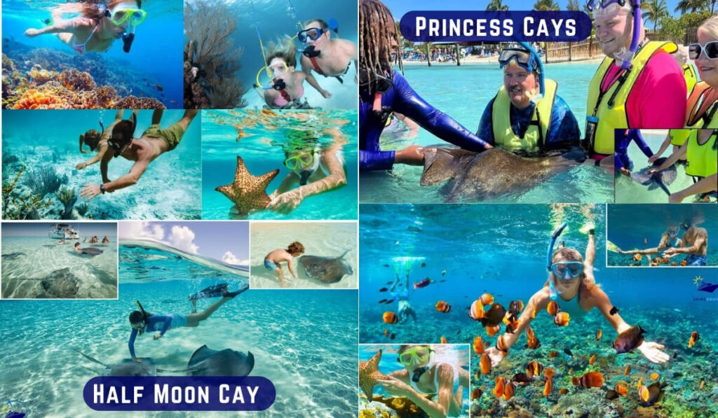 princess cays vs half moon cay
which is better princess cays vs half moon
half moon cay vs princess cays