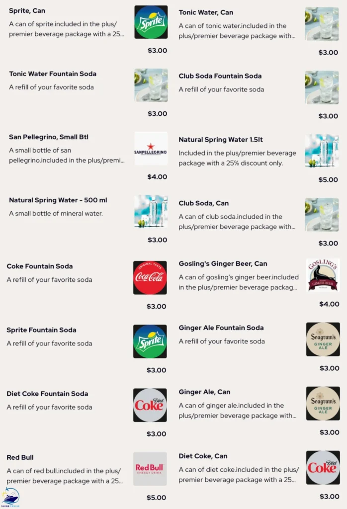 Princess Cruise Water & Soda Menu
Princess Cruises OceanNow Drinks Menu