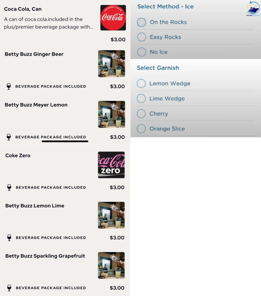 Princess Cruise Water & Soda Menu
Princess OceanNow Beverage Menu